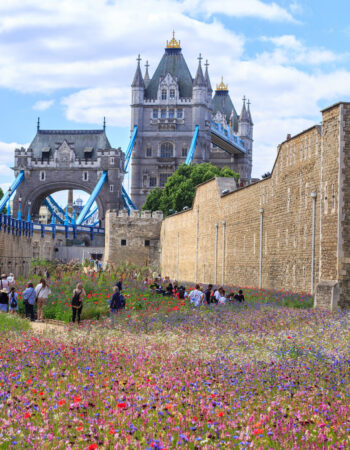 Tower of London