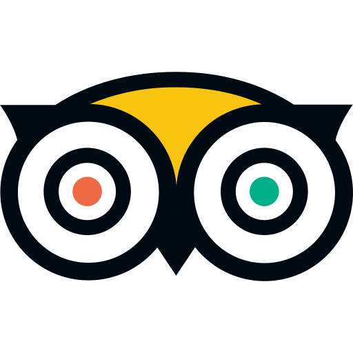 Icon tripadvisor colorful