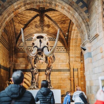 Natural History Museum