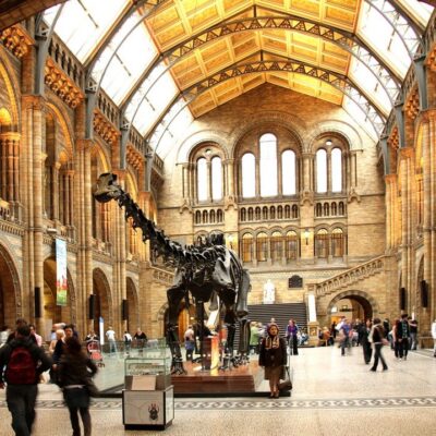 Natural History Museum