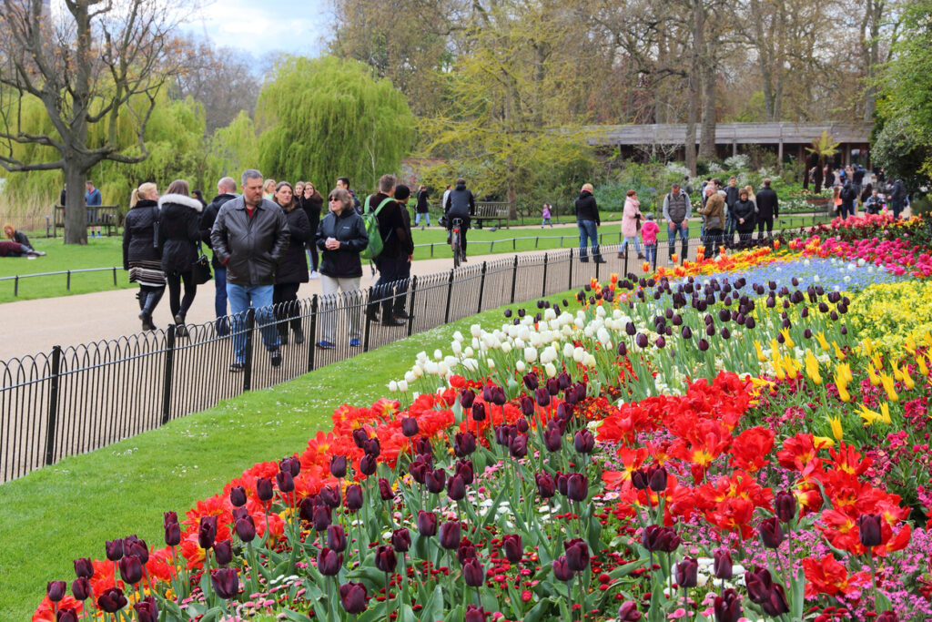 St. James's Park, London